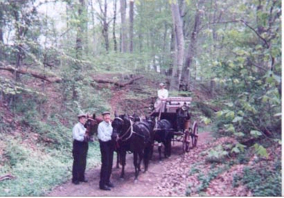 French Carriage Company Roof Seat Break circa 1905. Grooms Elizabeth Healey and Betty Newland. Whip, Carol Wright