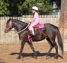 Ale's Hope (a four year old Bogart daughter)