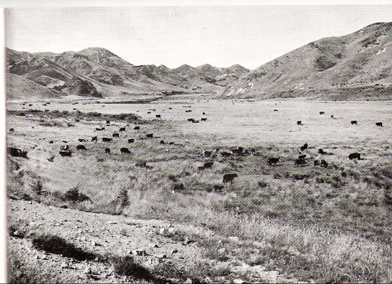 In the Clarence Valley