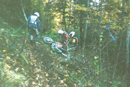 off_the_trail.jpg