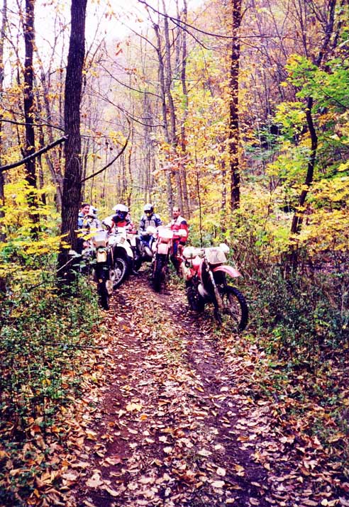 on_the_trail1.jpg