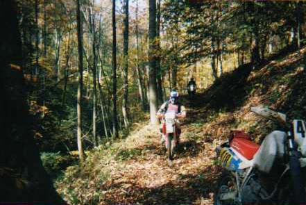 on_the_trail3.jpg