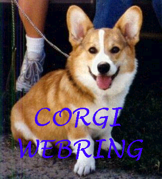 Corgi Webring