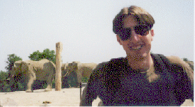 Ryan amongst the elephants...