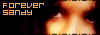 Forever Sandy