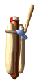 the Boys Baseball site!