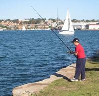 Cub Fishing