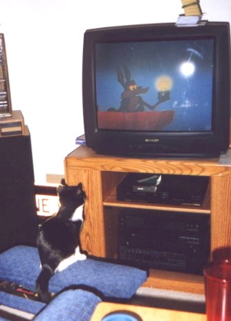 /user/BooTV.jpg