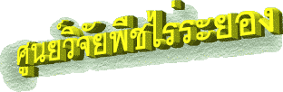 dar.gif 