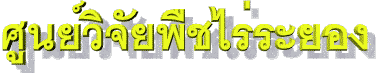 dar.gif 