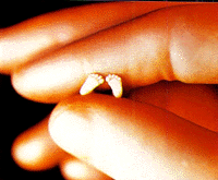 /user/10-week.gif