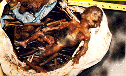 /user/30-weeks.gif