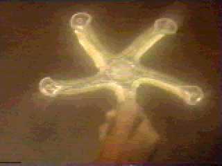 Krull 041