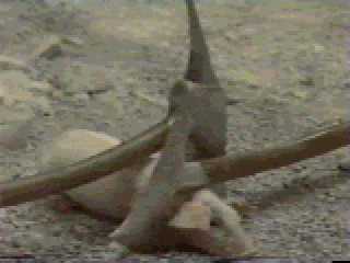 Krull 056
