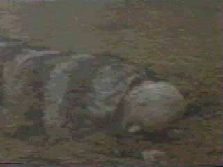 Krull 079
