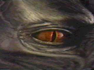 Krull 085