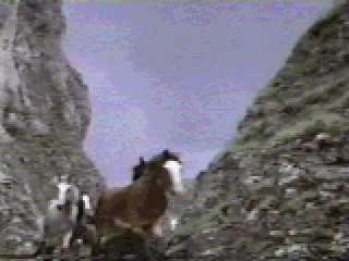 Krull 096