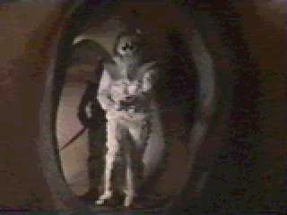Krull 110
