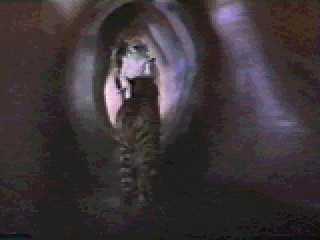 Krull 111