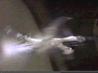 Krull 116