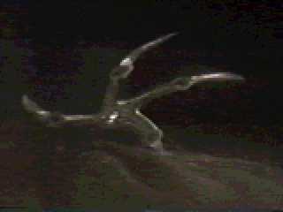 Krull 129