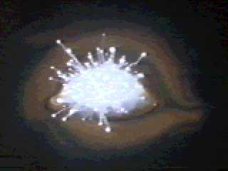 Krull 136
