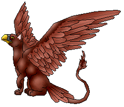 Adult Willow