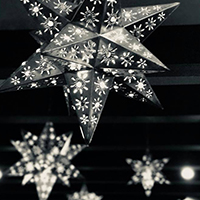 Stars