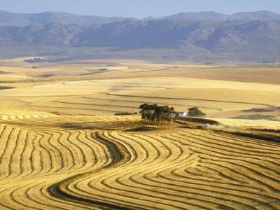 Farming in South Africa