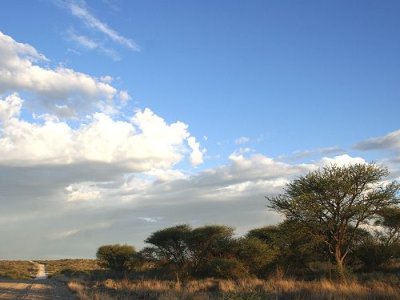 Farming in South Africa