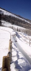 Luge