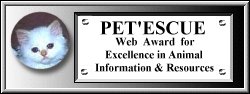 Award of Excellence