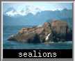sealions.jpg