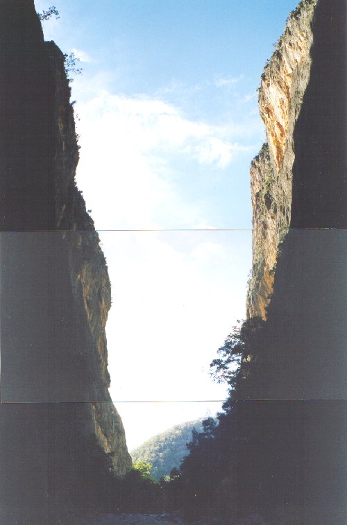 Bungonia Gorge
