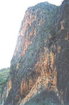 Bungonia Gorge