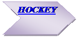 Chevron:  HOCKEY