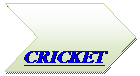 Chevron:  
CRICKET
