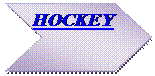 Chevron:  HOCKEY
