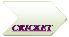 Chevron:  
CRICKET
