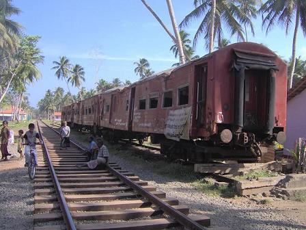 Tsunami Train