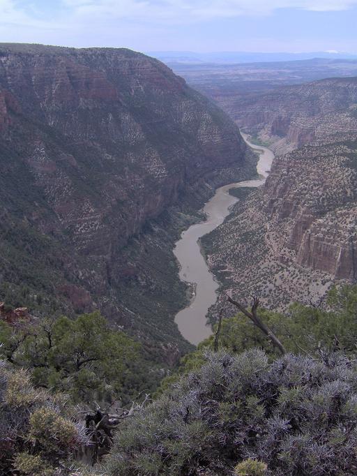 Green river