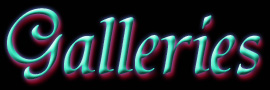 The Forever Slayers Galleries