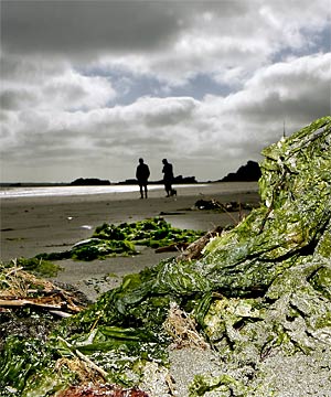 Sumner 2008