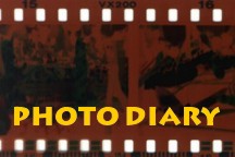 Our Photos