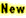new.gif (315 bytes)