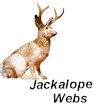 jackwebs.jpg (3827 bytes)