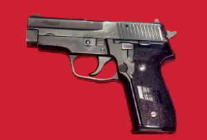 SIG 228