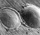 Visual appearance of the bad spot (SEM)