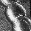Visual appearance of the good spot (SEM)