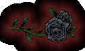 The End, and a New Beginning
